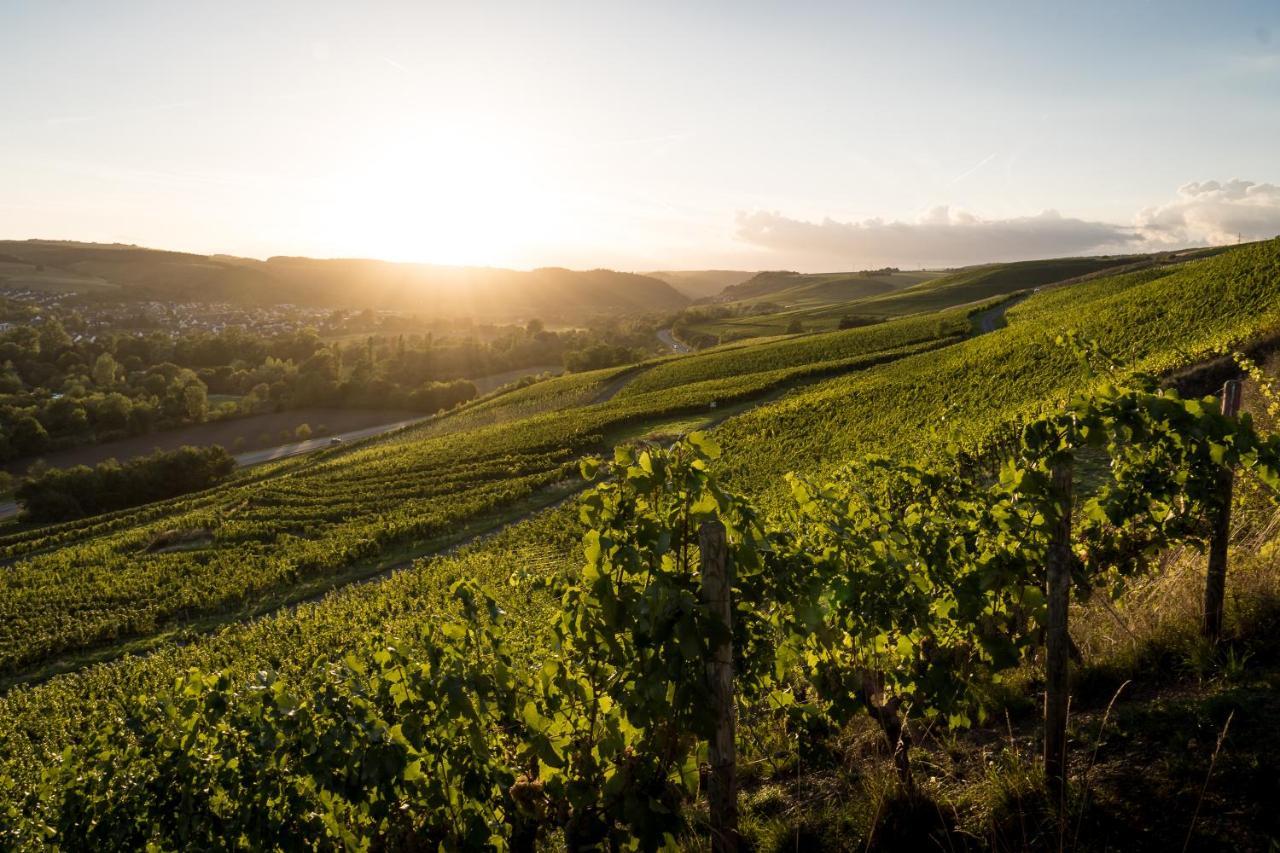 Weingut Und Gastehaus Holger Alt Hotel Monzingen Luaran gambar