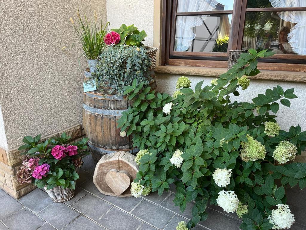 Weingut Und Gastehaus Holger Alt Hotel Monzingen Luaran gambar